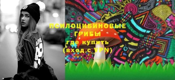 эйфоретик Богородск