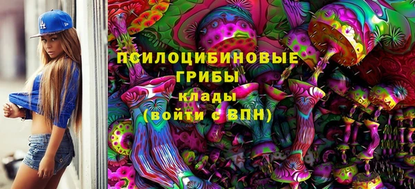 эйфоретик Богородск