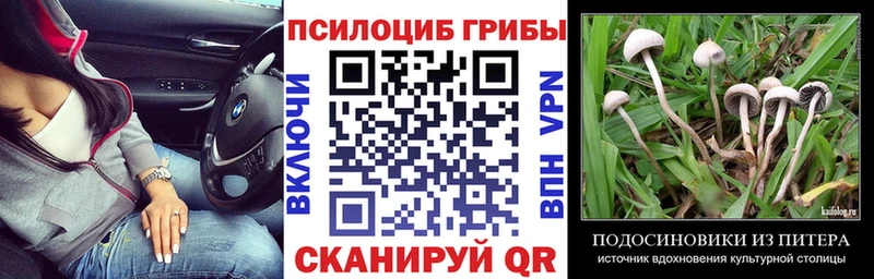 Псилоцибиновые грибы мухоморы  даркнет какой сайт  Дальнегорск 